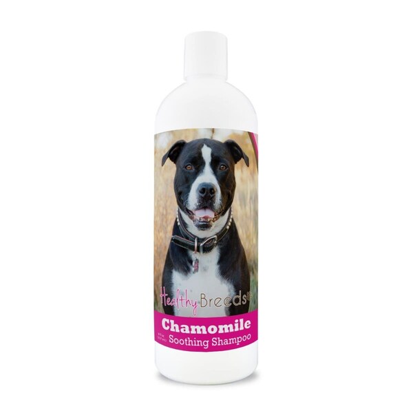 Healthy Breeds 8 oz Pit Bull Chamomile Soothing Dog Shampoo 192959000511 - main
